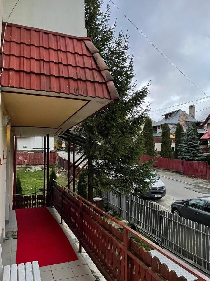 Cristina, Alex Si Prietenii Otel Buşteni Dış mekan fotoğraf